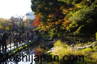 About 8 Autumn Color Destinations in Tokyo Japan 2024 2