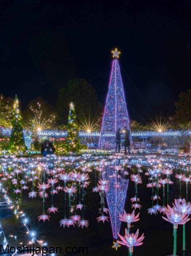 Coming with Ibaraki Flower Park Illumination Japan 2024 1