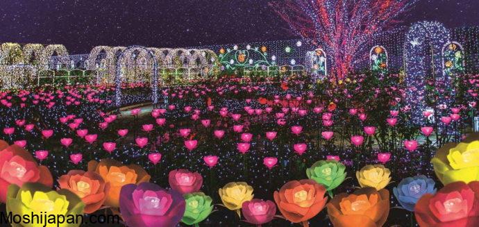 Coming with Ibaraki Flower Park Illumination Japan 2024 4