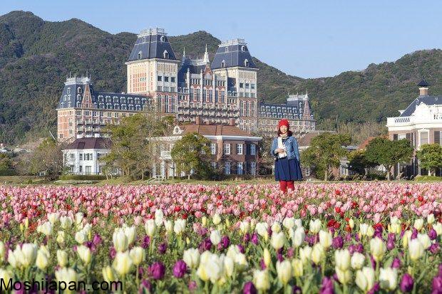 Discover Hamura Tulip Festival Japan 4