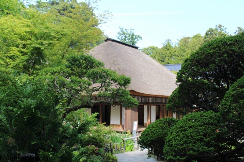 Exploring Miyagi Prefecture Top Attractions Japan 3