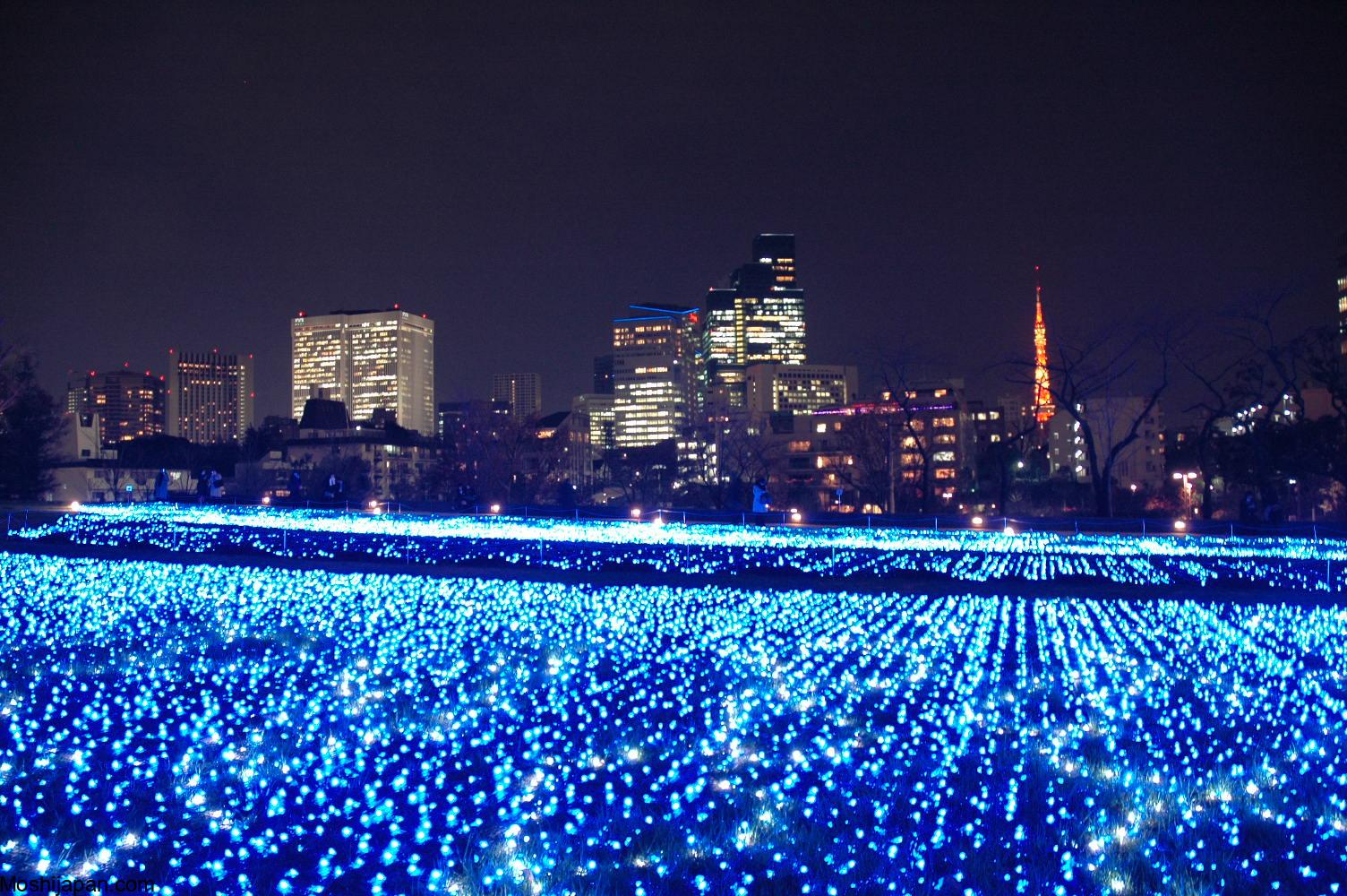 All about Tokyo Midtown Christmas Japan 2024