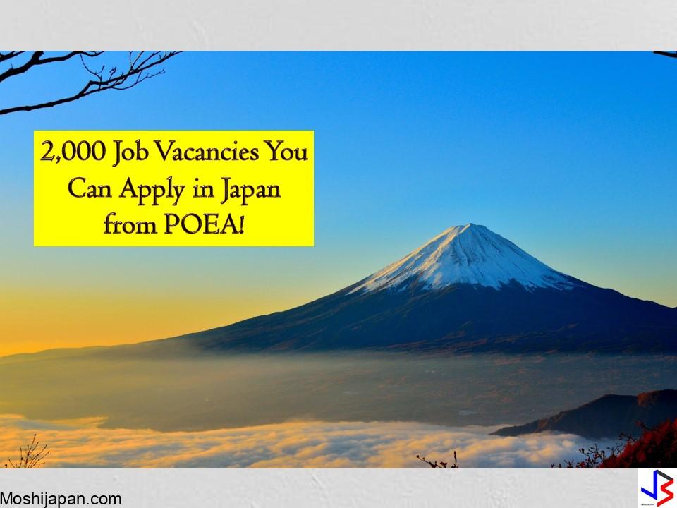 Job Opportunities For Filipinos In Japan 2024 650fed34ce1ff 
