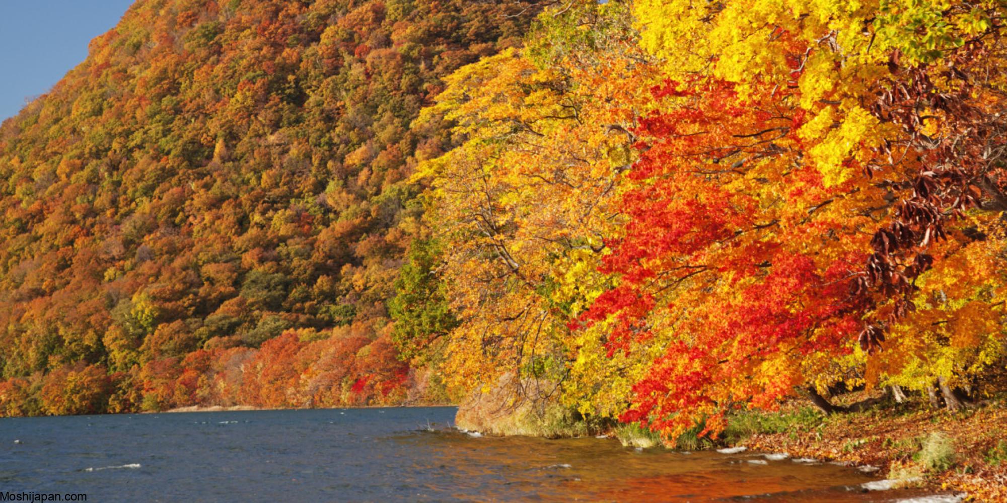 Seeing autumn leaves (紅葉) in Hokkaido 北海道 4