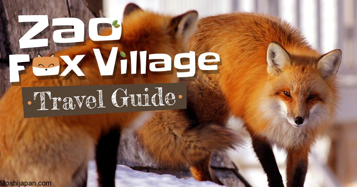 About Fox Village in Zao in Japan 3