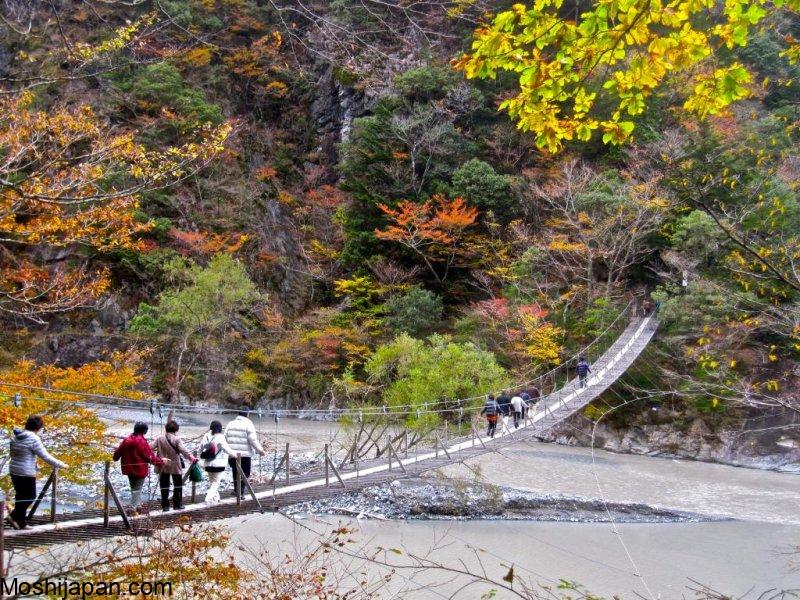 Coming with Suspension Bridges of the Sumatakyo in Japan 5
