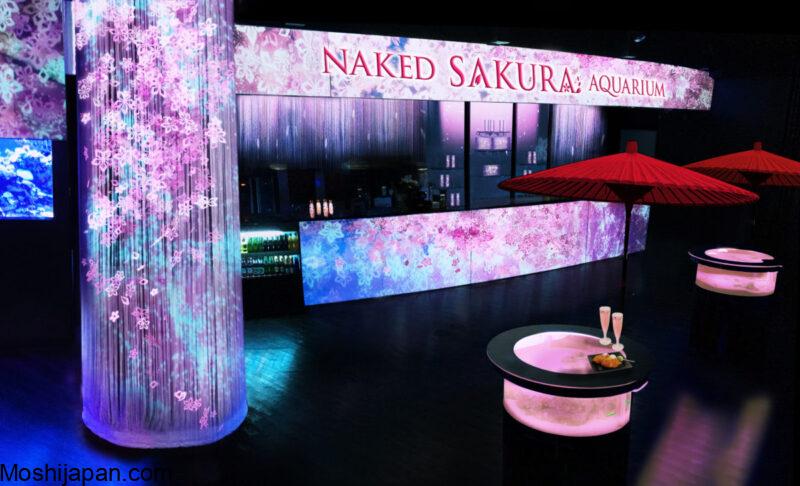 Discover Naked Sakura Aquarium in Japan 3