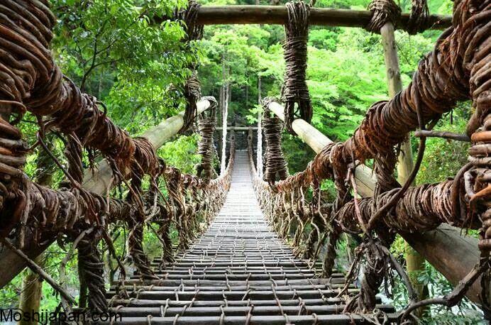 Coming with Suspension Bridges of the Sumatakyo in Japan 2