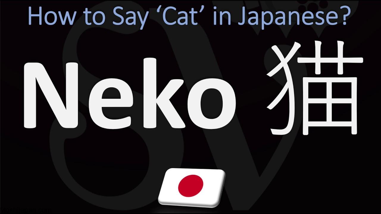 How to Say ‘Cat’ in Japanese 1