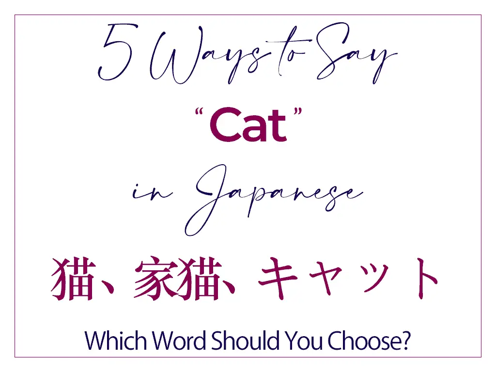 How to Say ‘Cat’ in Japanese 5