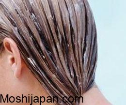Honey Creamy Ex Damage Repair Hair Treatment 2.0 Japan - Dense Honey Beauty For Damaged Hair 450G 3