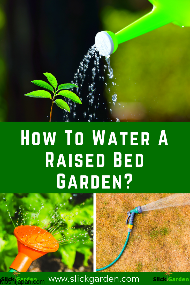 How often should I water my garden? 4