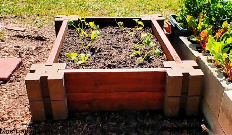 How to make a new raised bed garden step-by-step 3