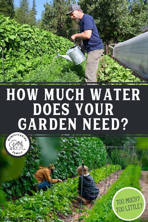 How often should I water my garden? 3