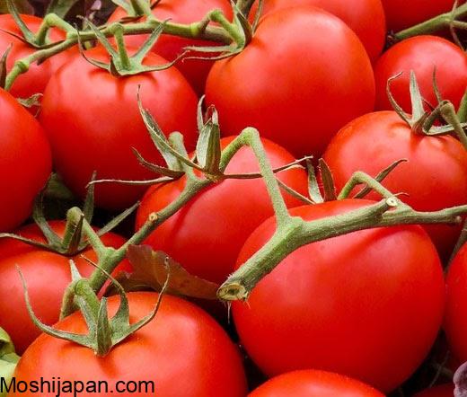 When to pick cherry tomatoes for the best flavor and quality 3