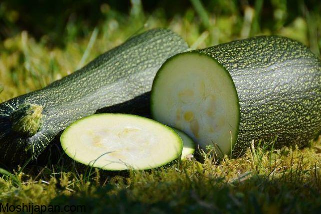 When to pick zucchini for the best flavor and quality 2
